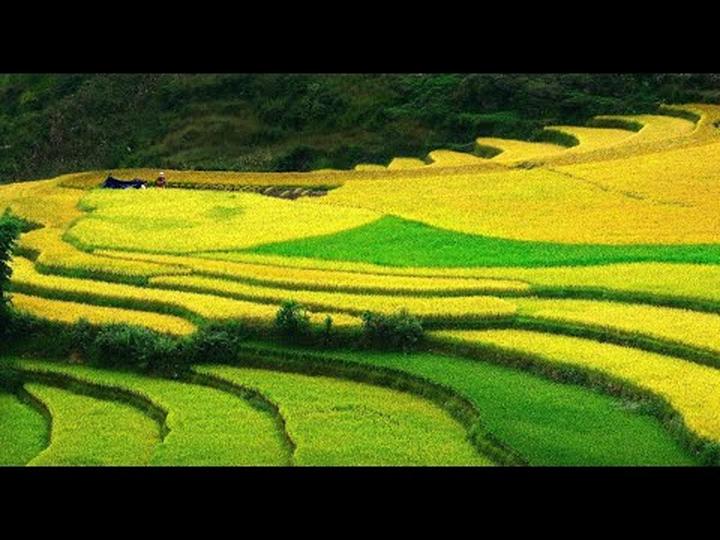 Hotspot Matrix: Biến Thu Hòa (Mẹ bé Bắp) đã quên thành cơ hội marketing đột phá