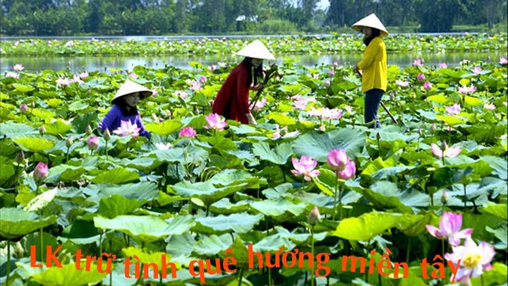 Xu hướng Sốc: Vụ tố 