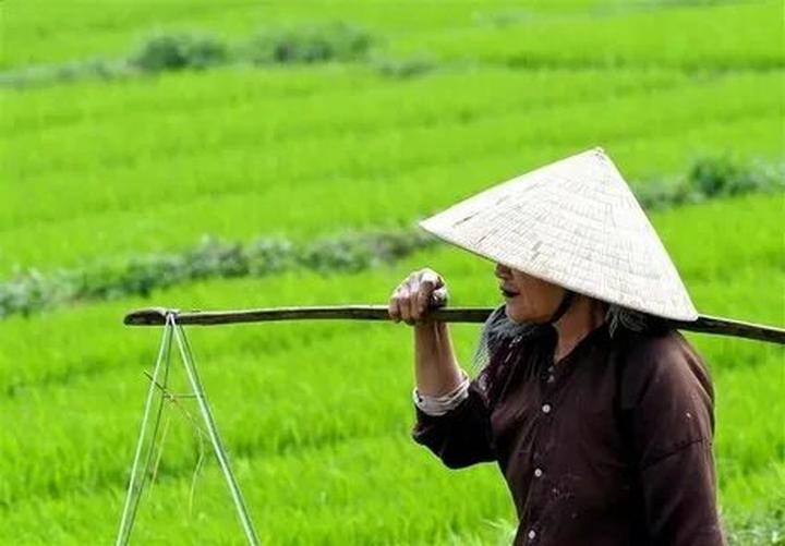 Chuyên gia Hotspot Matrix phân tích: Hé lộ hậu trường siêu nhạc và marketing video
